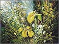 Yellow irises and camomiles